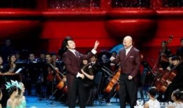 辽宁春晚爆料视频大全集,精彩瞬间回顾