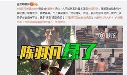 卓伟爆料模范夫妻出轨视频,卓伟曝光出轨视频引发热议