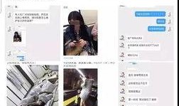 营销号爆料徐璐视频大全,揭秘明星私生活瞬间